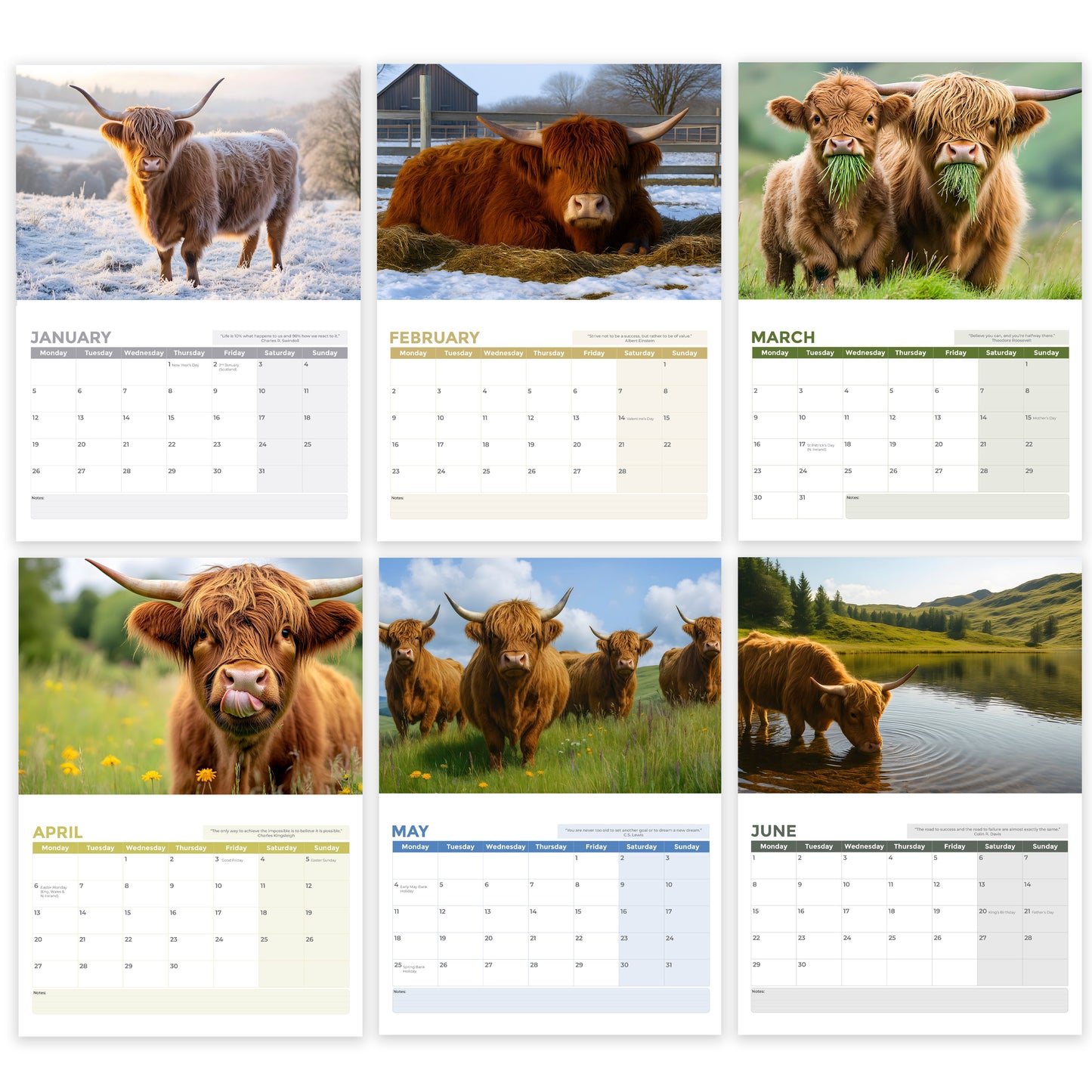 2026 Calendar, Highland Cow Wall Calendar UK, A3 Month-to-View (Jan 2026 – Dec 2026), Eco-Friendly, A3 Size When Open, Made in the UK