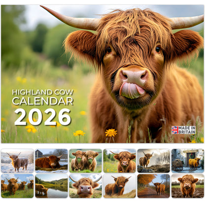 2026 Calendar, Highland Cow Wall Calendar UK, A3 Month-to-View (Jan 2026 – Dec 2026), Eco-Friendly, A3 Size When Open, Made in the UK