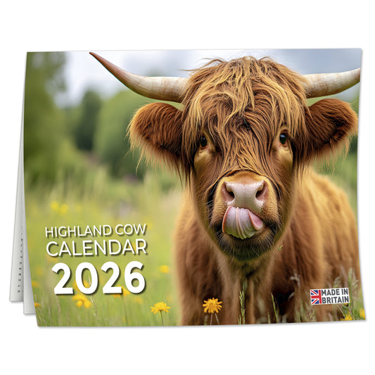 2026 Calendar, Highland Cow Wall Calendar UK, A3 Month-to-View (Jan 2026 – Dec 2026), Eco-Friendly, A3 Size When Open, Made in the UK