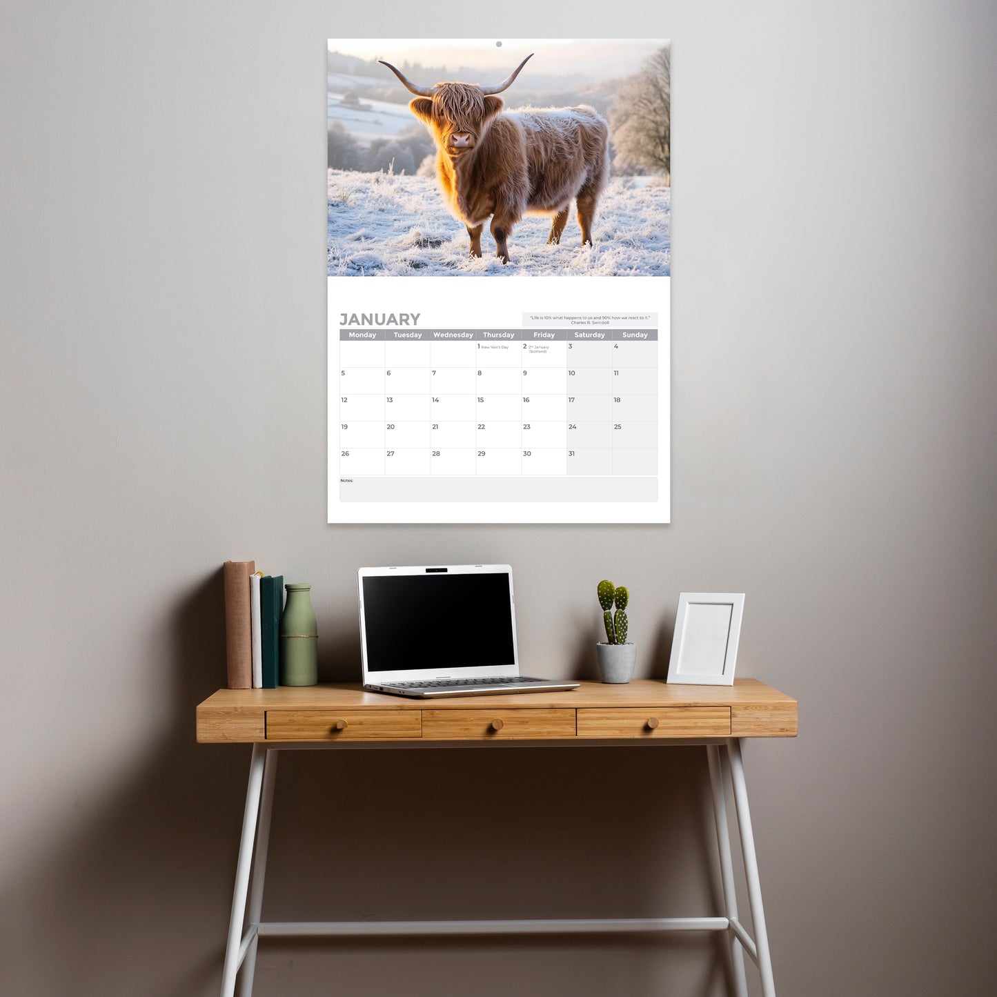2026 Calendar, Highland Cow Wall Calendar UK, A3 Month-to-View (Jan 2026 – Dec 2026), Eco-Friendly, A3 Size When Open, Made in the UK