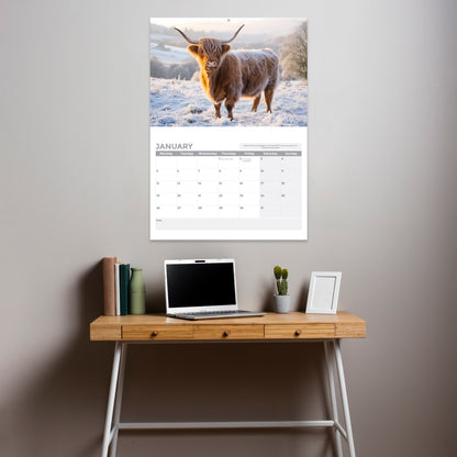 2026 Calendar, Highland Cow Wall Calendar UK, A3 Month-to-View (Jan 2026 – Dec 2026), Eco-Friendly, A3 Size When Open, Made in the UK