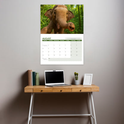 Wall Calendar 2026 UK - A3 Size Animal Selfies 2026 Calendar, Month-to-View (Jan 2026 - Dec 2026) - Eco-Friendly, A3 When Open, Made in the UK.