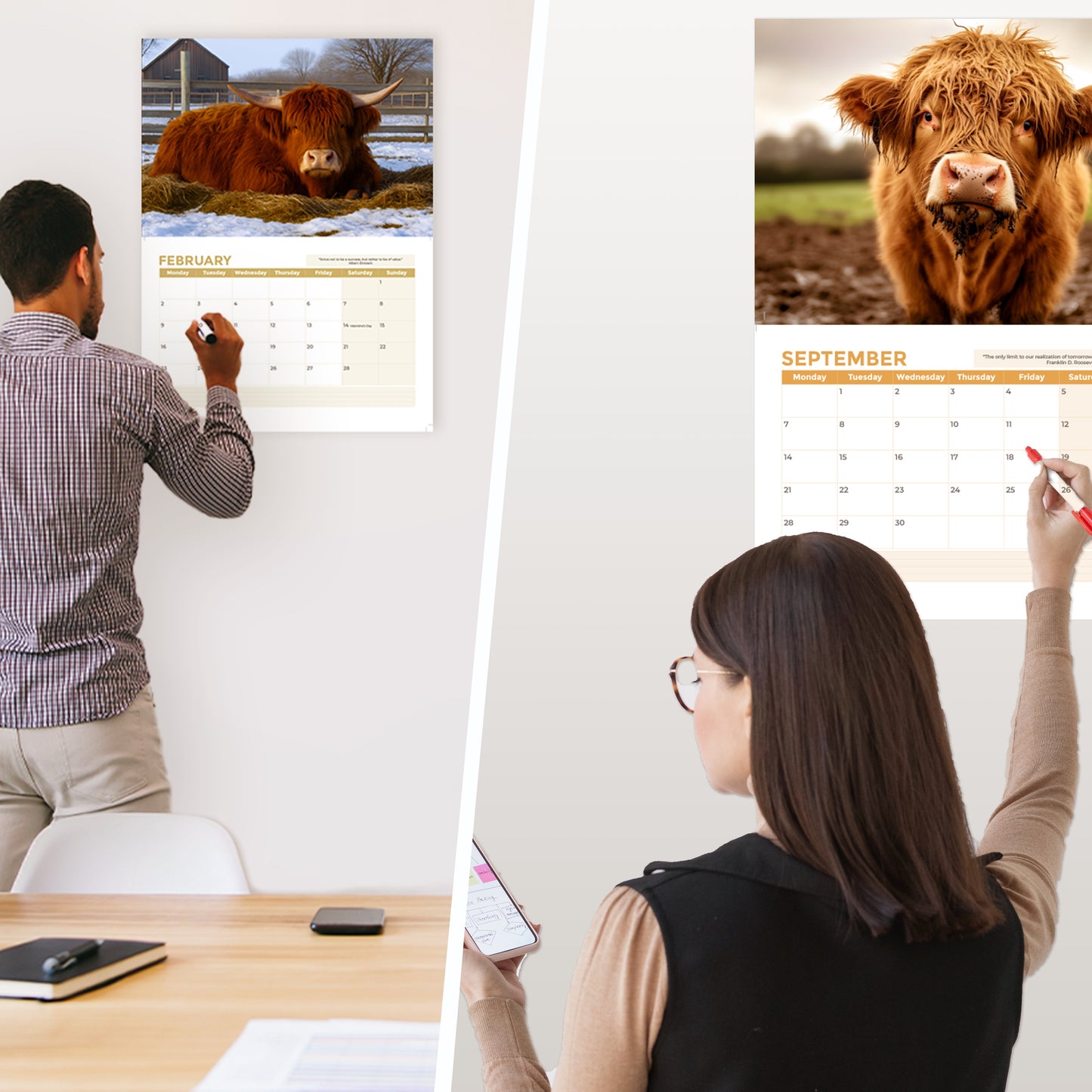 2026 Calendar, Highland Cow Wall Calendar UK, A3 Month-to-View (Jan 2026 – Dec 2026), Eco-Friendly, A3 Size When Open, Made in the UK